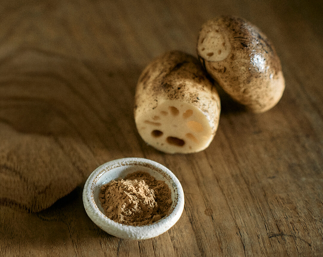 蓮根粉末（コーレン）50g